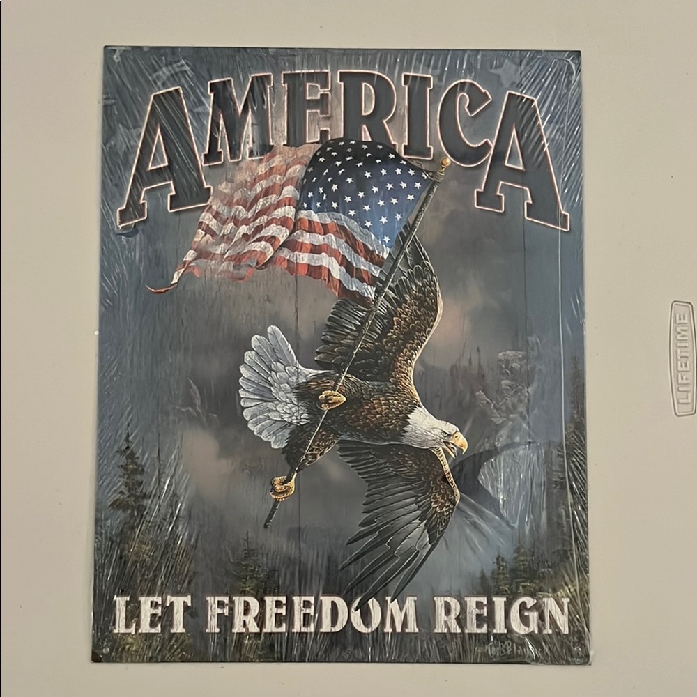 🔥‼️Patriotic Eagle Wall Art‼️🔥